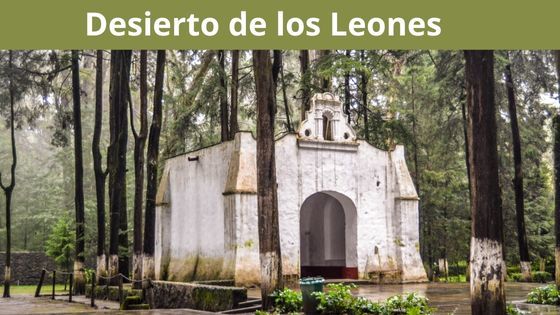 desierto de los leones naturaleza y aventura